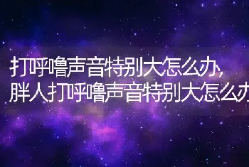 打呼噜声音特别大怎么办，胖人打呼噜声音特别大怎么办