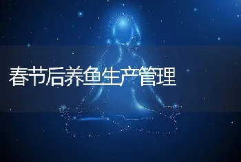 春节后养鱼生产管理