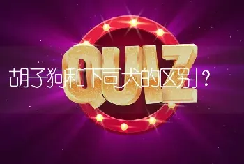 胡子狗和下司犬的区别？