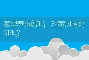 家里养狗好吗，对家风有好处吗？