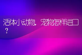 活体小动物，宠物怎样进口？