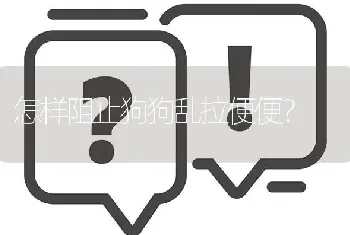 怎样阻止狗狗乱拉便便？