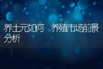 养土元如何 养殖市场前景分析