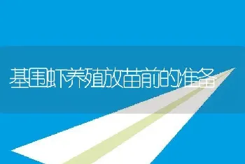 基围虾养殖放苗前的准备