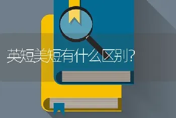 英短美短有什么区别？