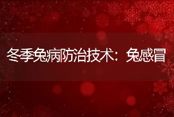 冬季兔病防治技术：兔感冒