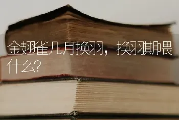 金翅雀几月换羽，换羽期喂什么？