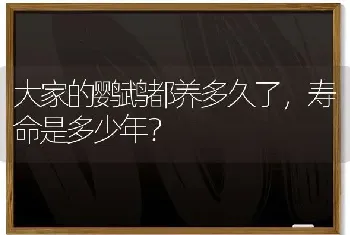 大家的鹦鹉都养多久了，寿命是多少年？