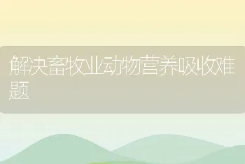 解决畜牧业动物营养吸收难题