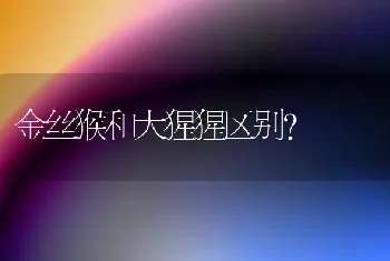 黑背有多少种？