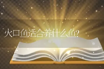 火口鱼适合养什么鱼？