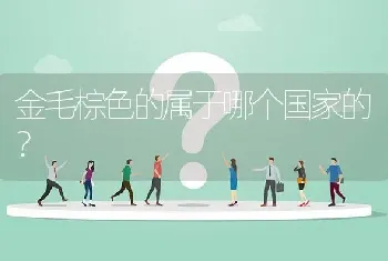 金毛棕色的属于哪个国家的？