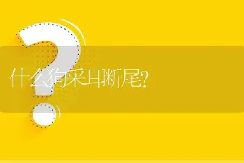 什么狗采耳断尾？