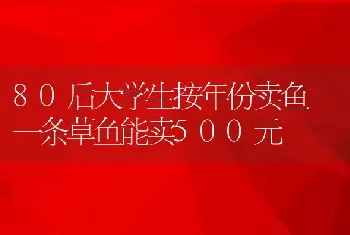 80后大学生按年份卖鱼 一条草鱼能卖500元