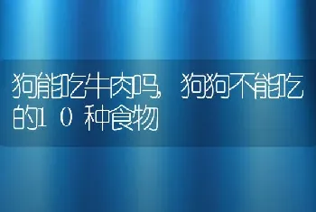 狗能吃牛肉吗，狗狗不能吃的10种食物