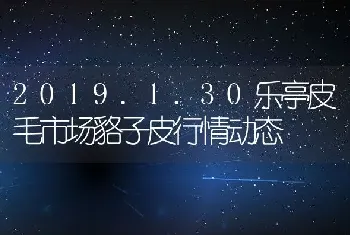 2019.1.30乐亭皮毛市场貉子皮行情动态