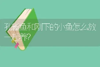 孔雀鱼和刚下的小鱼怎么放一起养？