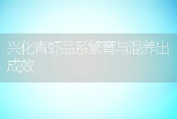 兴化青虾品系繁育与混养出成效