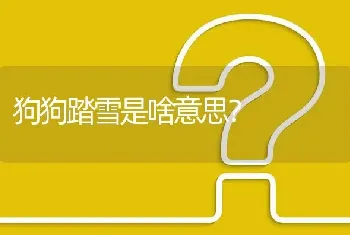 狗狗踏雪是啥意思？