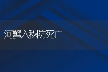 养猪场饲喂豆饼易忽视的4大问题