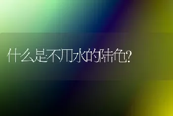 什么是不用水的陆龟？