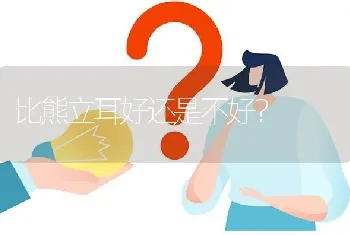 比熊立耳好还是不好？