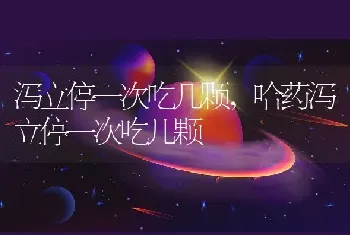 泻立停一次吃几颗，哈药泻立停一次吃几颗