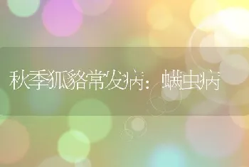 秋季狐貉常发病：螨虫病