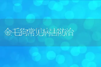 金毛狗常见病害防治