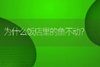 为什么饭店里的鱼不动？