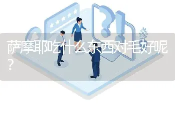 萨摩耶吃什么东西对毛好呢？