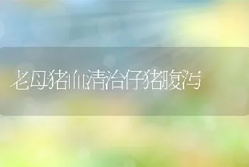 老母猪血清治仔猪腹泻