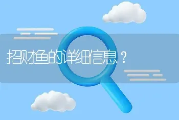 招财鱼的详细信息？