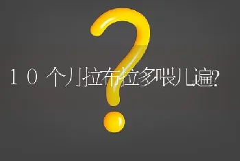 10个月拉布拉多喂几遍？