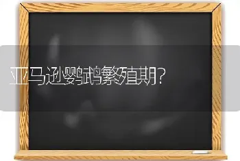 亚马逊鹦鹉繁殖期？