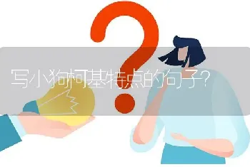 写小狗柯基特点的句子？