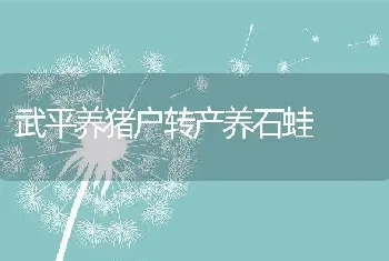 武平养猪户转产养石蛙