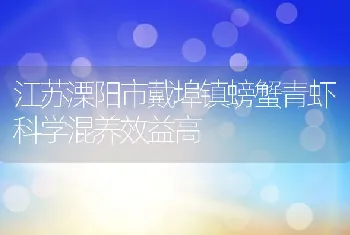 江苏溧阳市戴埠镇螃蟹青虾科学混养效益高