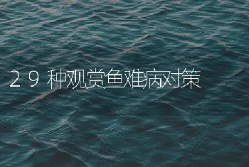 29种观赏鱼难病对策