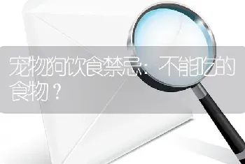 宠物狗饮食禁忌：不能吃的食物？