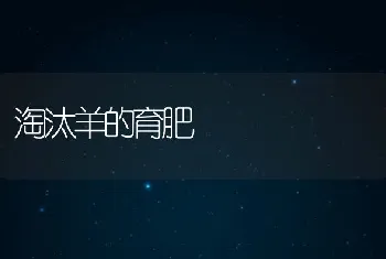 淘汰羊的育肥