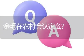 金毛在农村会认家么？