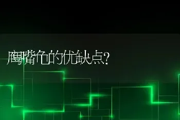 小狗睡觉起来就打喷嚏？