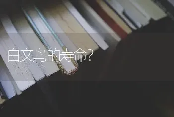 白文鸟的寿命？