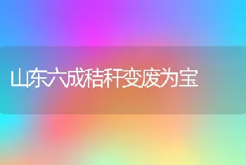 山东六成秸秆变废为宝