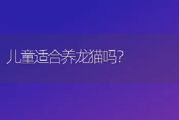 儿童适合养龙猫吗？