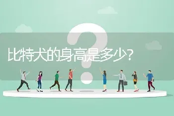 比特犬的身高是多少？