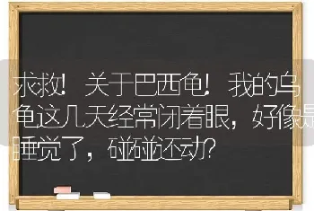 求救!关于巴西龟!我的乌龟这几天经常闭着眼，好像是睡觉了，碰碰还动？