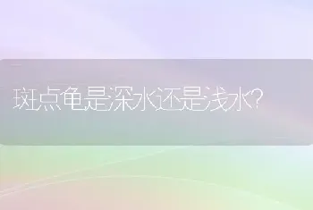 斑点龟是深水还是浅水？