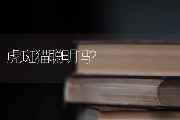 泰迪毛色浅棕色好还是深棕色好看？